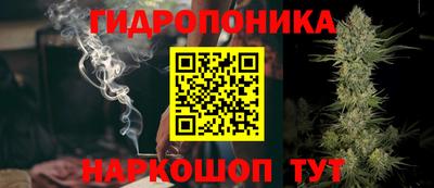 мяу мяу мука Братск