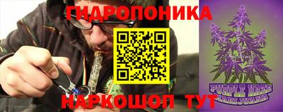 гидропоника Боровичи