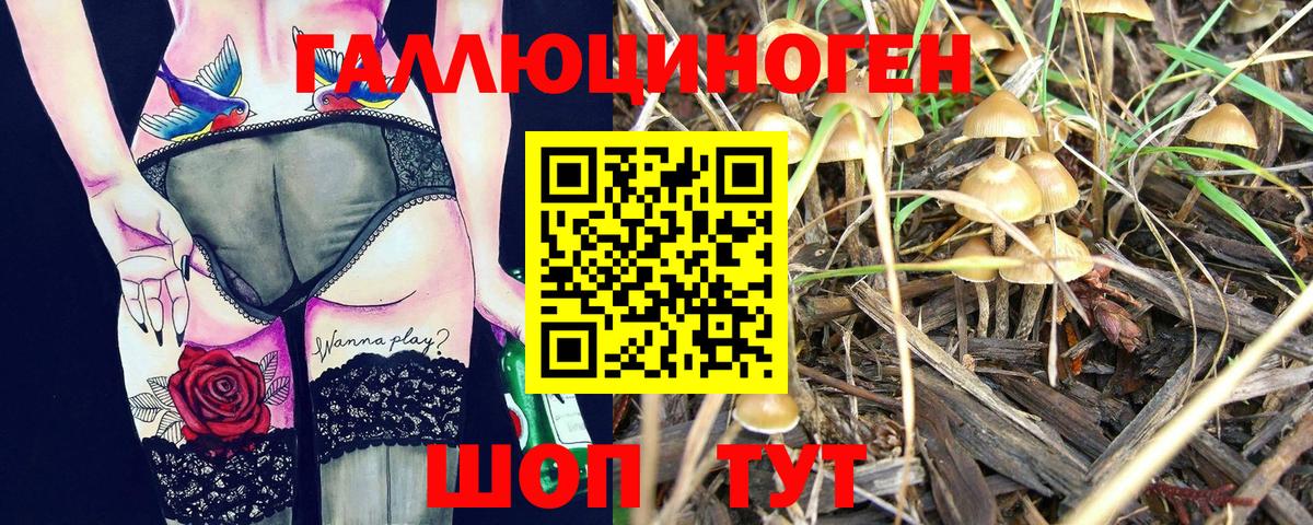 Псилоцибиновые грибы прущие грибы  Вход с VPN  Псилоцибиновые грибы мухоморы  Тавда 